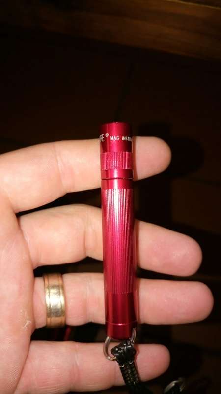 5x Maglite's Flashlight (Bundle)