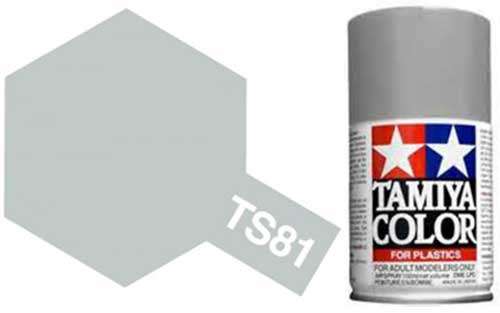 TS-81 Royal Light Grey - Matt - Synthetic Lacquer Paint