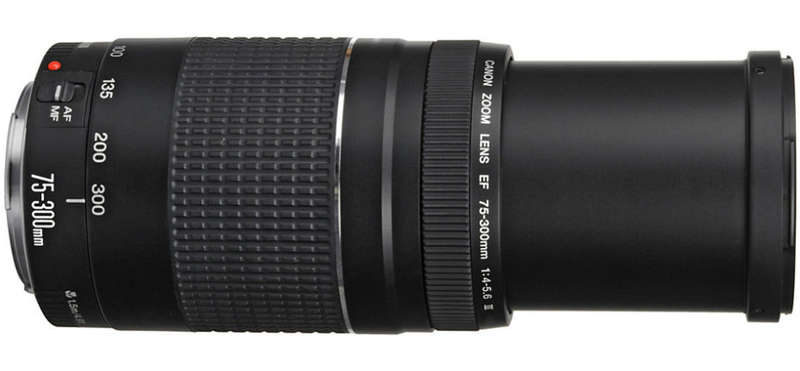 CANON EF 75-300mm Mark III TELEPHOTO ZOOM LENS for CANON DSLR Cameras