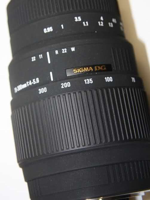 SIGMA DG 70-300mm Telephoto Zoom Lens for Nikon DSLR Cameras