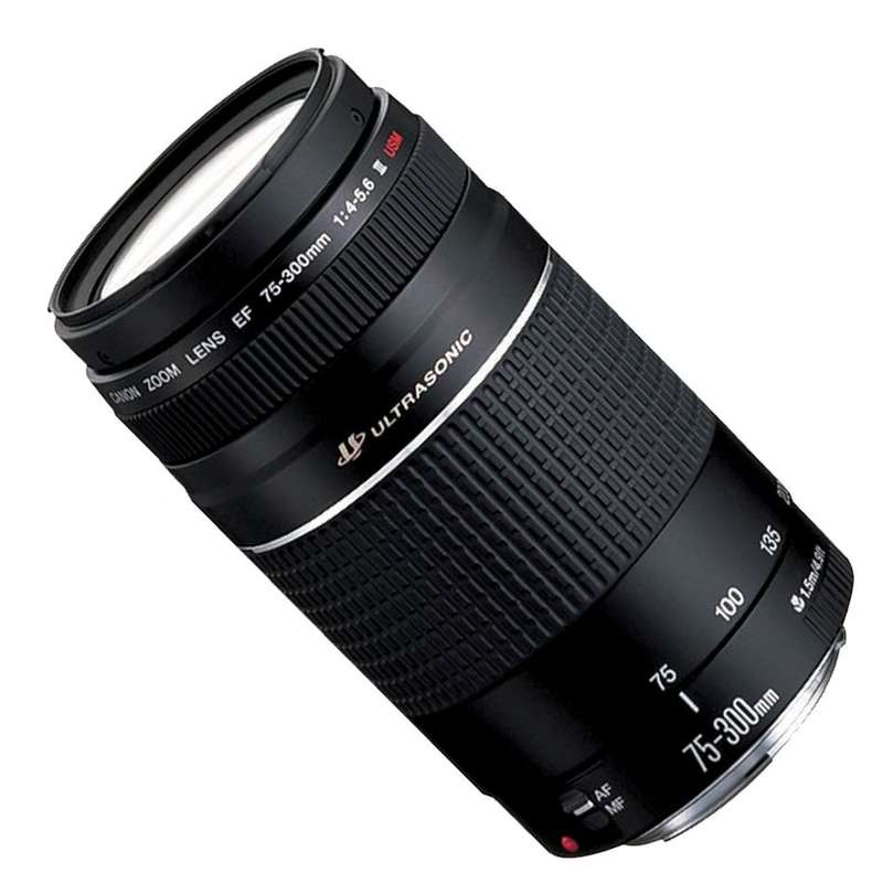 CANON EF 75-300MM III USM Zoom Lens Canon Cameras