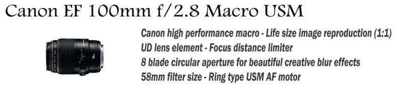 Canon EF 100mm f2.8 Macro ULTRASONIC Wide Angle Lens for Canon DSLR Cameras !