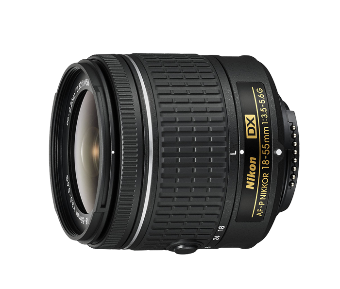 Nikon D3300 24.2 MP CMOS Digital SLR with AF-P DX NIKKOR 18-55mm f/3.5-5.6G Zoom Lens (Black)