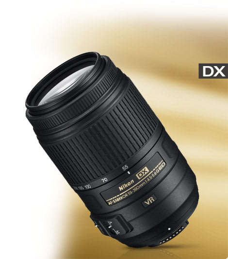 Nikon DX AF-S NIKKOR 55-300MM ED VR Lens for Nikon Digital SLR Cameras ( NIKON 55-300MM )