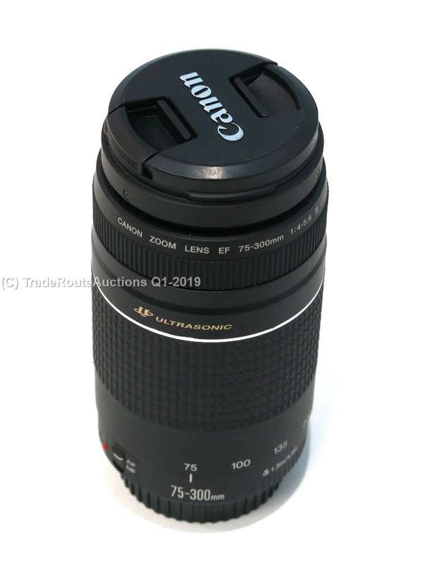 CANON EF 75-300MM III USM Zoom Lens Canon Cameras