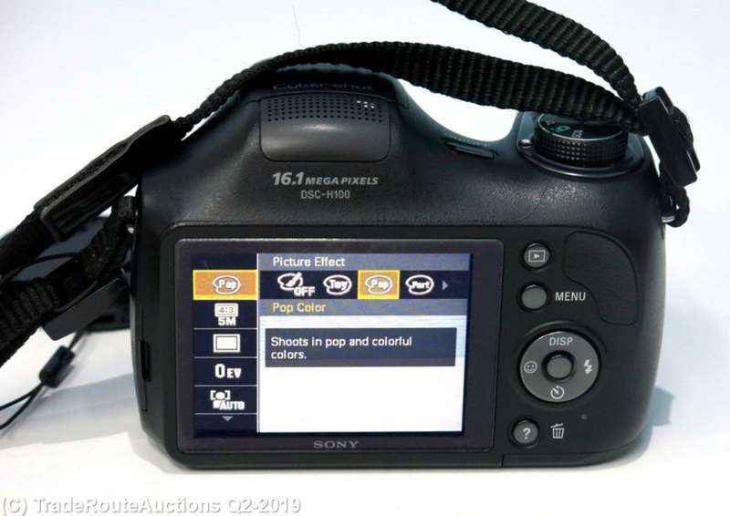 Sony Cyber-shot DSC-H100/BC 16.1MP Point and Shoot Camera (Black) with 21x Optical Zoom