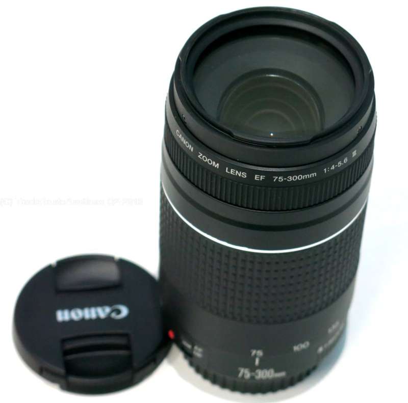 CANON EF 75-300MM 4-5.6 MARK III TELEPHOTO ZOOM LENS for 600D, 650D, 700D, 750D 1200D 1300D Etc