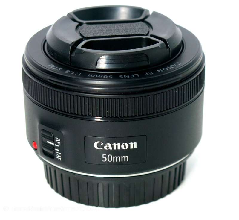 Canon EF 50mm f/1.8 STM Lens for Canon DSLR Cameras