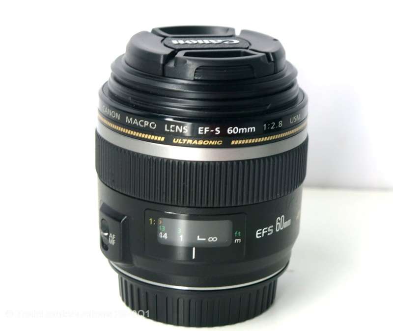 Canon EF-S 60mm f/2.8 USM Lens for Canon DSLR CAMERAS