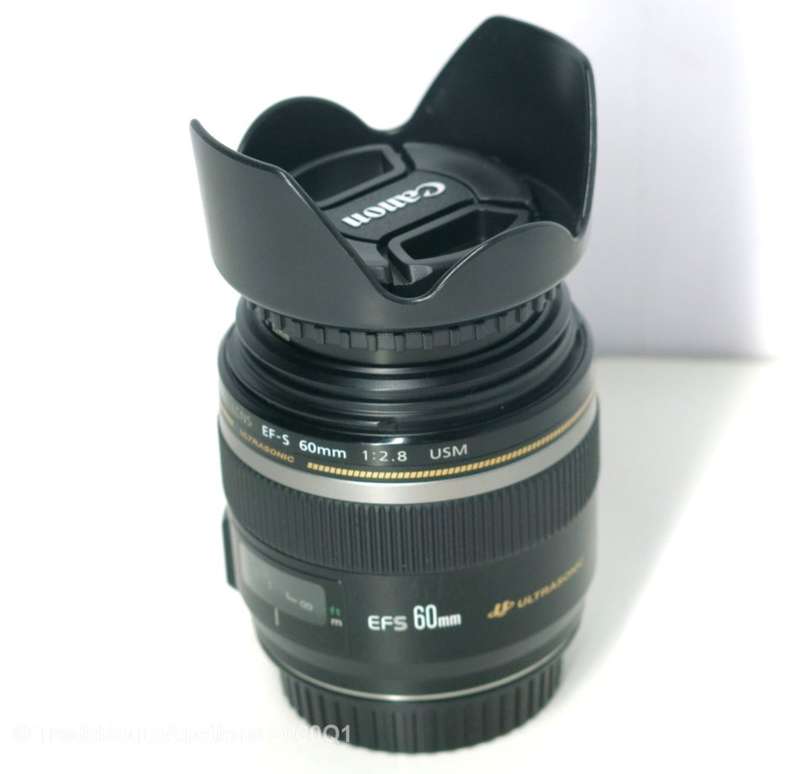 Canon EF-S 60mm f/2.8 USM Lens for Canon DSLR CAMERAS