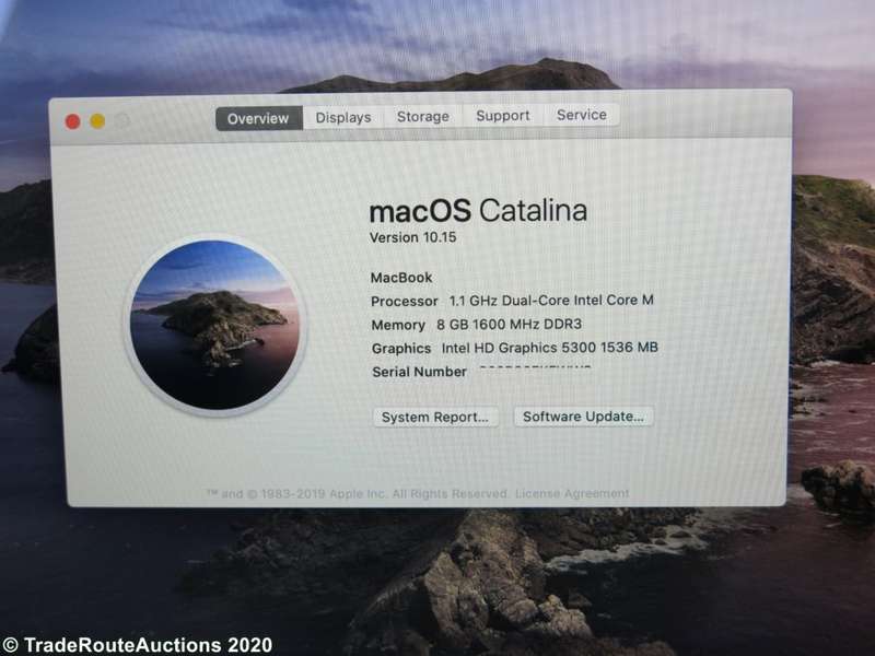 MacBook `Core M` 1.1Ghz 12 inch RETINA SILVER (Early 2015 Model) | 8GB RAM | 256GB SSD | 2304x1440