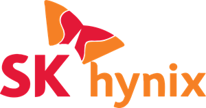 Hynix 8GB 4Rx8 PC3L 8500R Low-Profile RAM Memory Module - Only works with Server