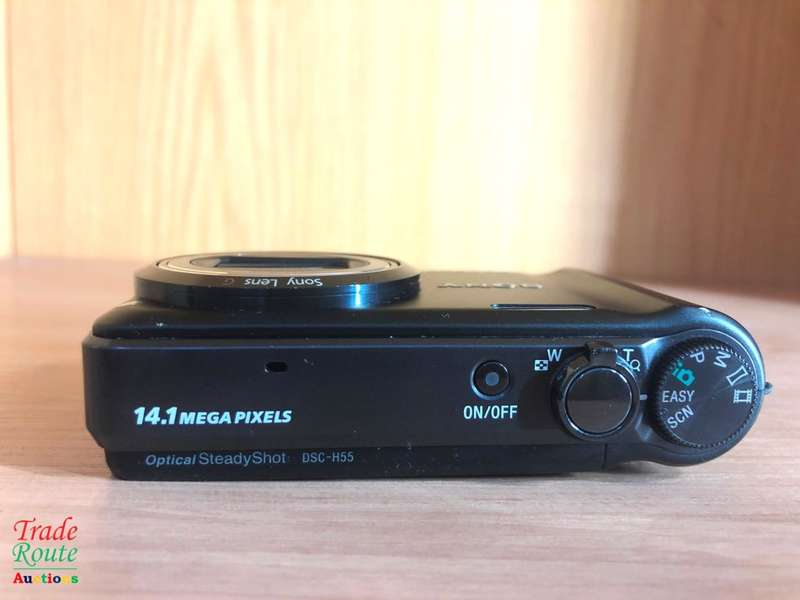 Sony Cyber-shot DSC-H55 14.1MP Digital Camera with 10x Wide Angle Optical Zoom