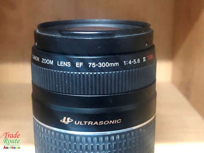 CANON EF 75-300MM III USM Zoom Lens Canon Cameras