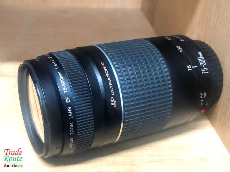 CANON EF 75-300MM III USM Zoom Lens Canon Cameras