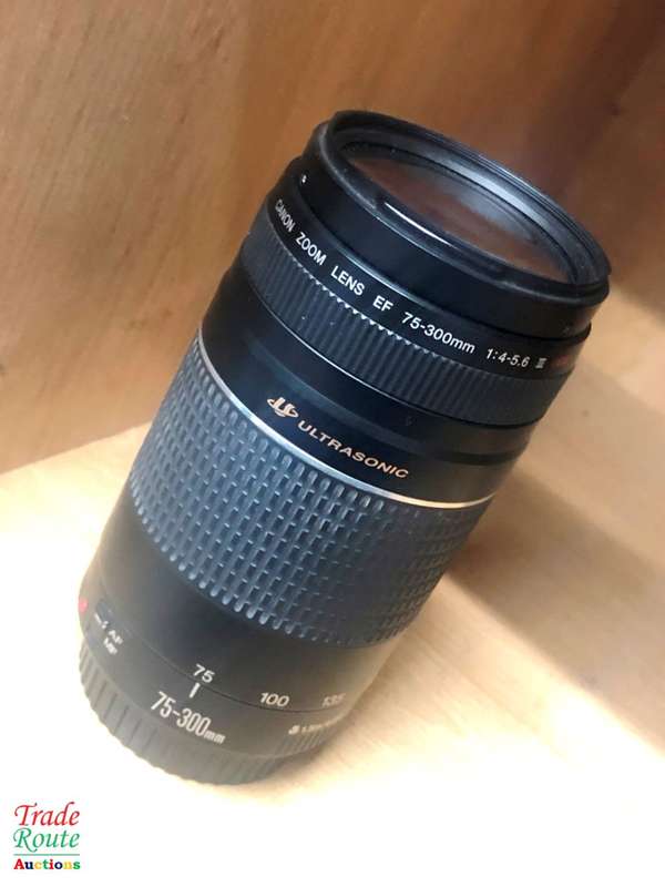 CANON EF 75-300MM III USM Zoom Lens Canon Cameras
