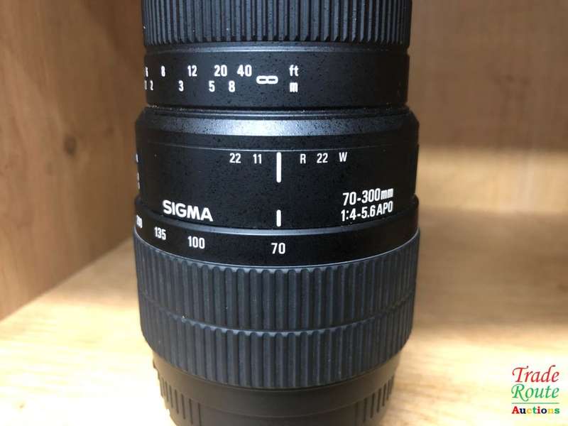 SIGMA 70-300mm APO Telephoto Zoom Lens for Canon DSLR Cameras