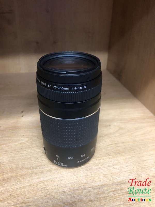 Canon EF 75-300mm 4-5.6 Mark iii Telephoto Zoom Lens for 600D, 650D, 700D, 750D 1200D 1300D Etc