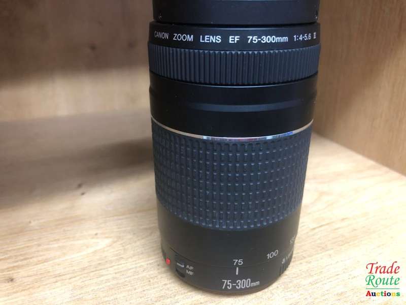 Canon EF 75-300mm 4-5.6 Mark iii Telephoto Zoom Lens for 600D, 650D, 700D, 750D 1200D 1300D Etc