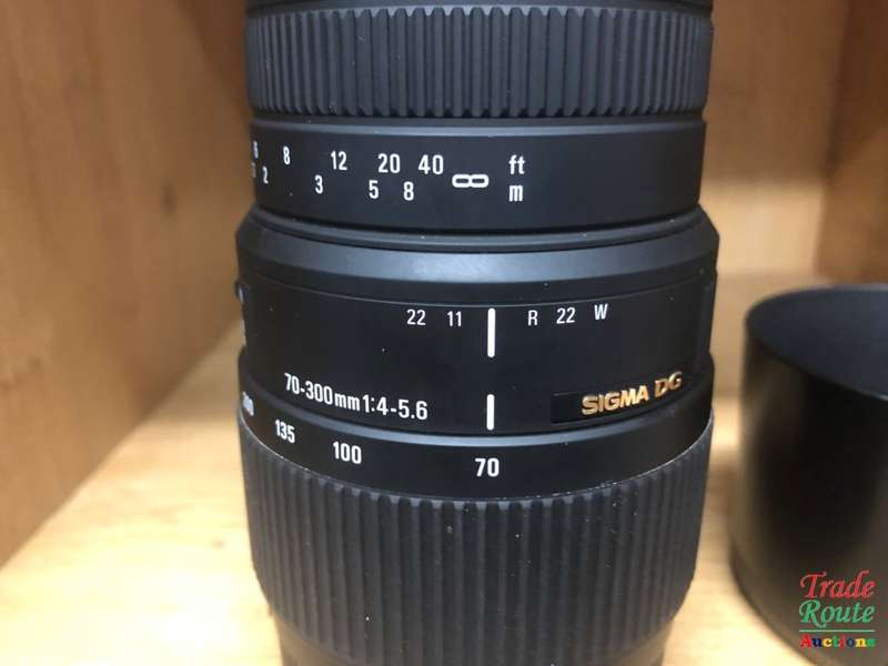 SIGMA DG 70-300mm Telephoto Zoom Lens for Canon DSLR Cameras