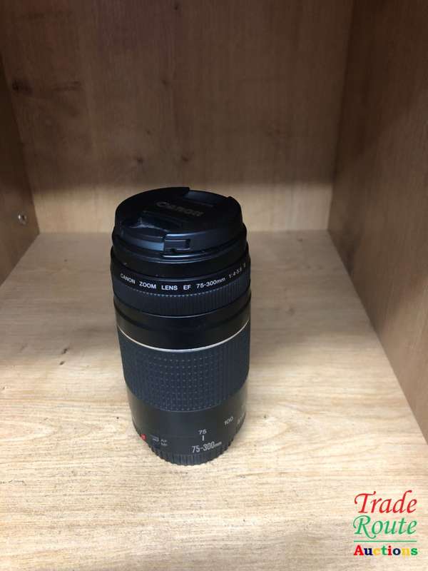 Canon EF 75-300mm 4-5.6 Mark iii Telephoto Zoom Lens for 600D, 650D, 700D, 750D 1200D 1300D Etc