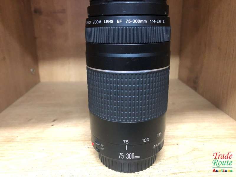 Canon EF 75-300mm 4-5.6 Mark iii Telephoto Zoom Lens for 600D, 650D, 700D, 750D 1200D 1300D Etc