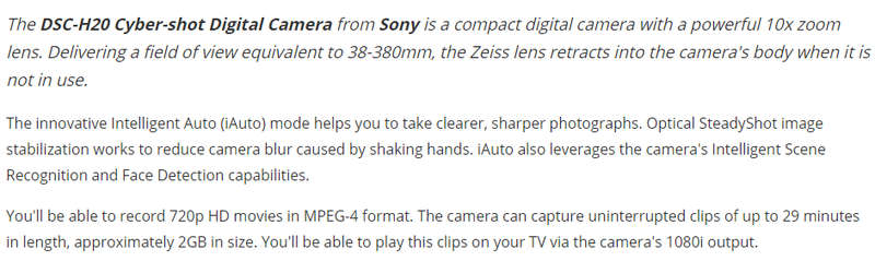 Sony DSC-H20 Cyber-shot Digital Camera -10.1 MP-10x Optical Zoom