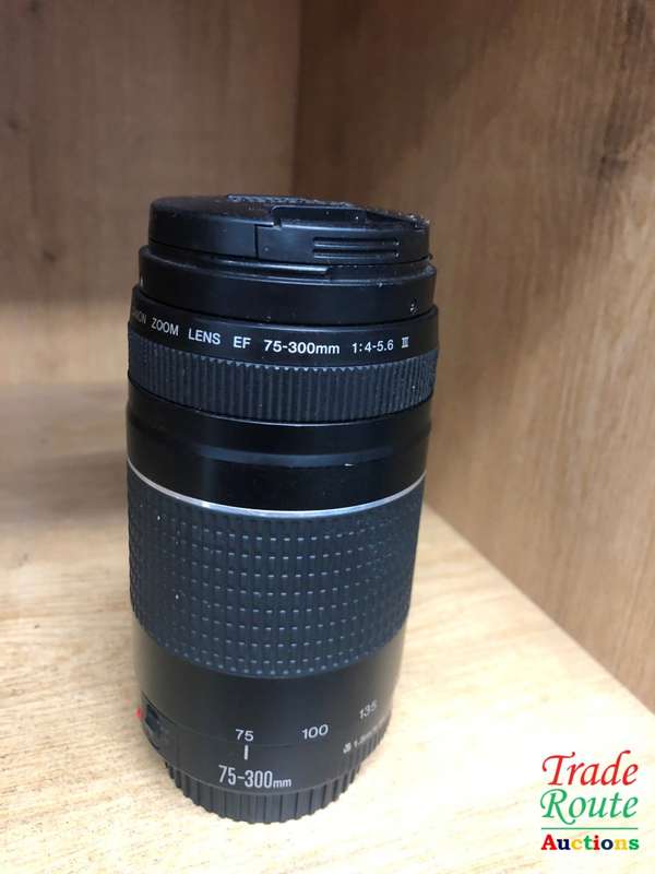 Canon EF 75-300mm 4-5.6 Mark iii Telephoto Zoom Lens for 600D, 650D, 700D, 750D 1200D 1300D Etc