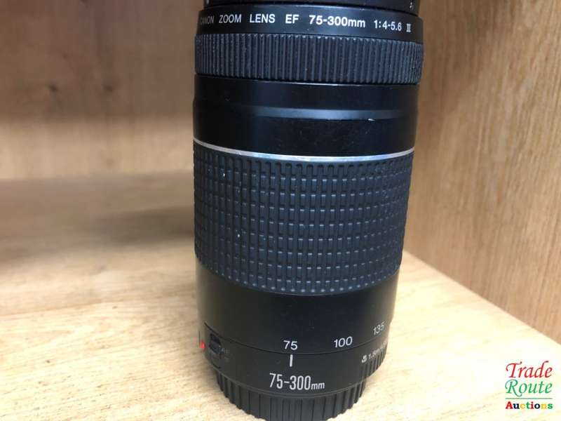 Canon EF 75-300mm 4-5.6 Mark iii Telephoto Zoom Lens for 600D, 650D, 700D, 750D 1200D 1300D Etc