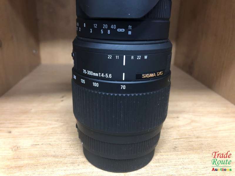 SIGMA DG 70-300mm Telephoto Zoom Lens for CANON DSLR Cameras