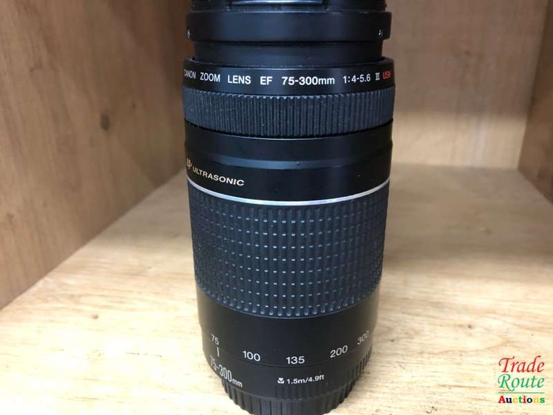 Canon EF 75-300mm 4-5.6 Mark iii USM Telephoto Zoom Lens