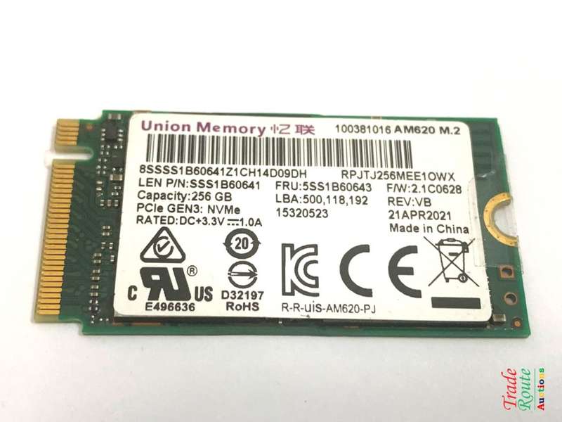 256GB M.2 NVMe SSD