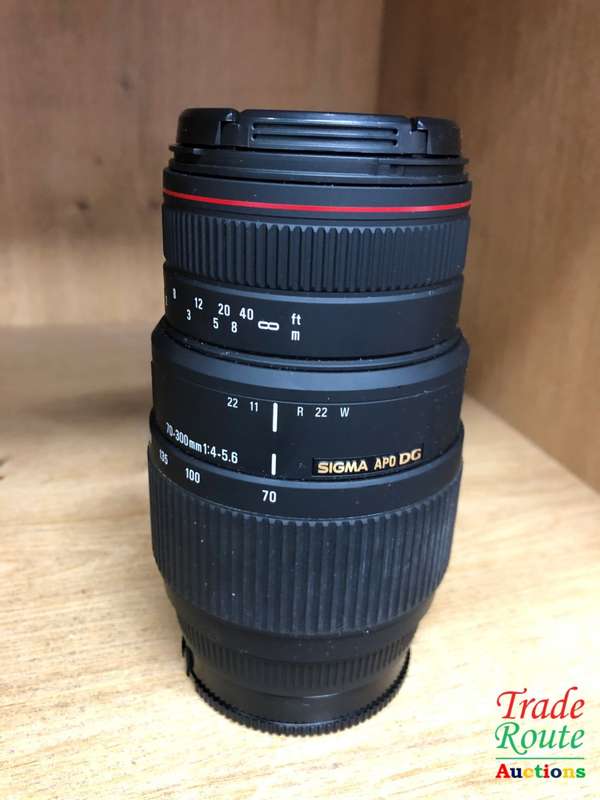 SIGMA APO DG 70-300mm Telephoto Zoom Lens for SONY DSLR A MOUNT Cameras