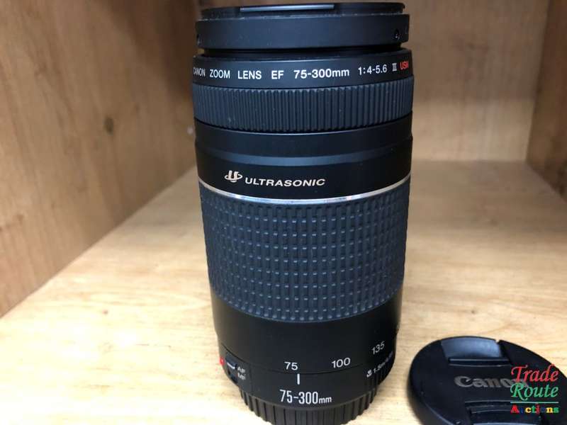Canon EF 75-300mm 4-5.6 Mark iii USM Telephoto Zoom Lens