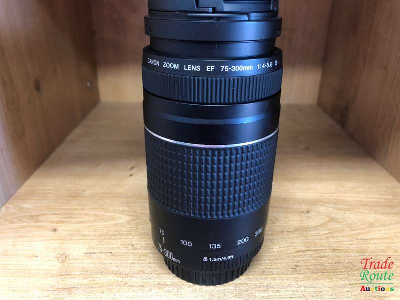 Canon EF 75-300mm 4-5.6 Mark iii Telephoto Zoom Lens for 600D, 650D, 700D, 750D 1200D 1300D Etc