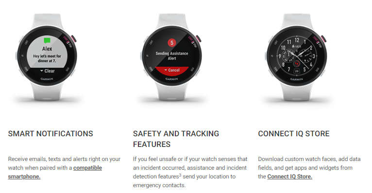 Garmin Forerunner 45S Watch