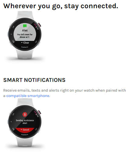 Garmin Forerunner 45S Watch