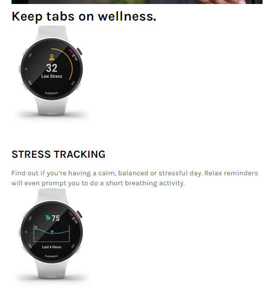 Garmin Forerunner 45S Watch