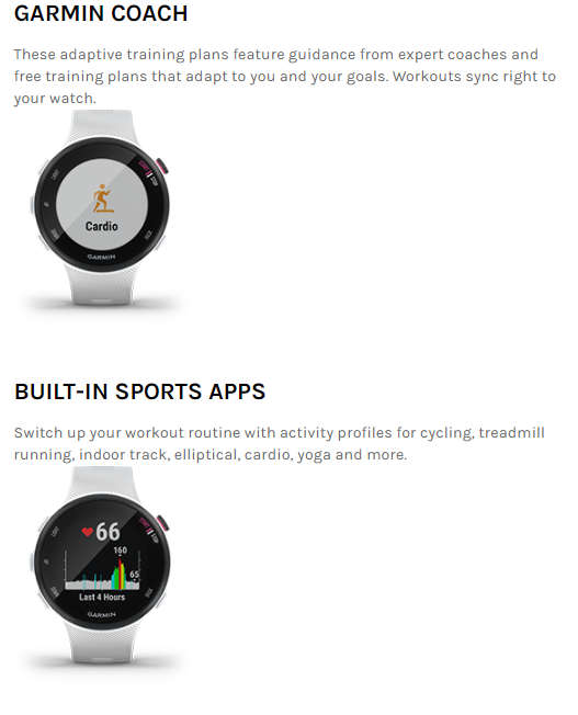 Garmin Forerunner 45S Watch