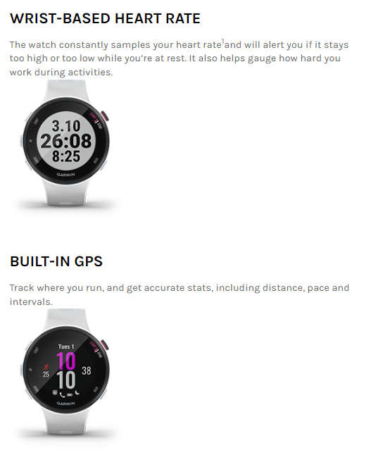 Garmin Forerunner 45S Watch