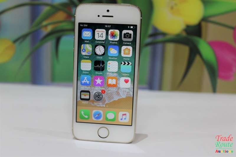 Apple Iphone 5S 64GB SmartPhone