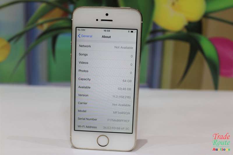 Apple Iphone 5S 64GB SmartPhone
