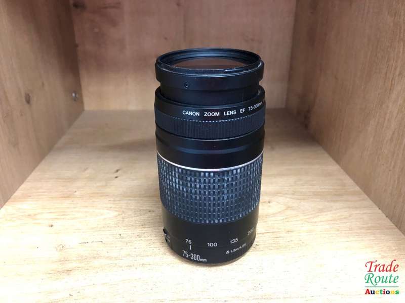 Canon EF 75-300mm 4-5.6 Mark iii Telephoto Zoom Lens for 600D, 650D, 700D, 750D 1200D 1300D Etc