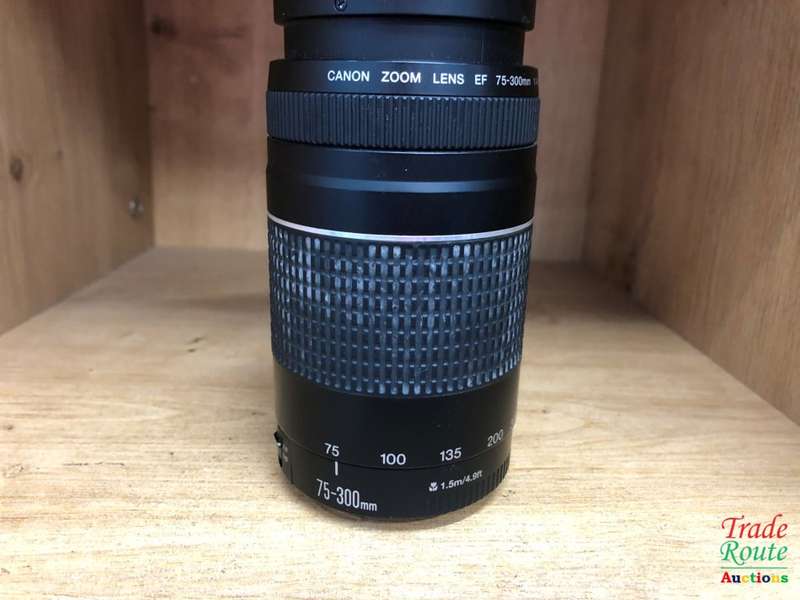 Canon EF 75-300mm 4-5.6 Mark iii Telephoto Zoom Lens for 600D, 650D, 700D, 750D 1200D 1300D Etc