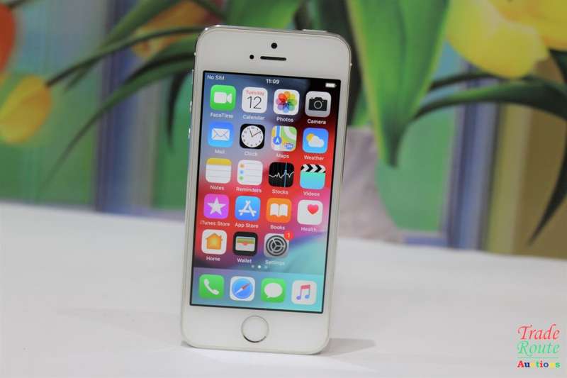 Apple Iphone 5S  16GB SmartPhone A1530 *** APPLE IPHONE5s ***