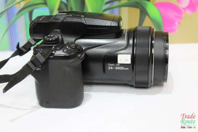 Nikon COOLPIX P1000 Digital Camera 4K Zoom Master - 3000mm optical zoom-the most powerful zoom lens