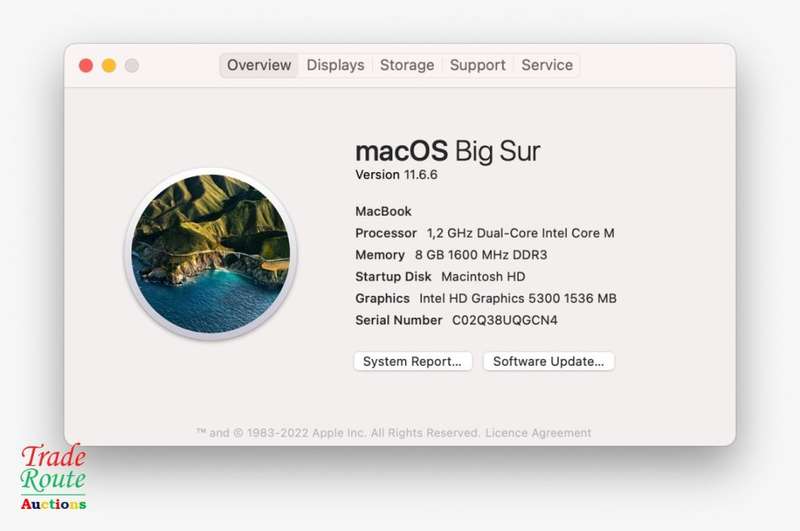 MacBook `Core M` 1.2Ghz 12 inch RETINA SILVER (Early 2015 Model) | 8GB RAM | 256GB SSD | 2304x1440