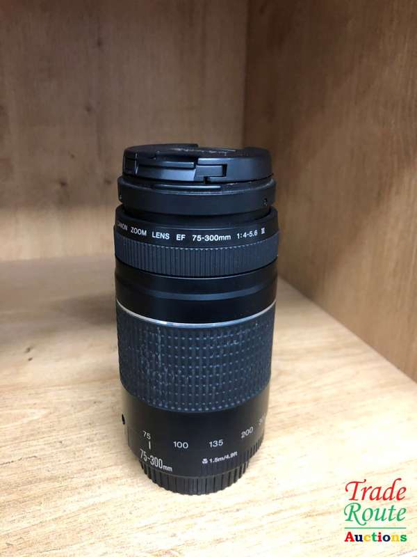 Canon EF 75-300mm 4-5.6 Mark iii Telephoto Zoom Lens for 600D, 650D, 700D, 750D 1200D 1300D Etc