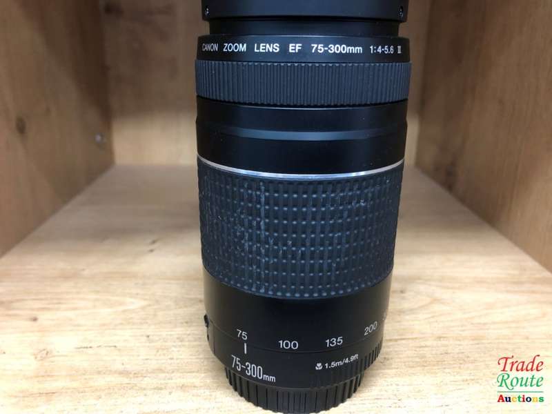 Canon EF 75-300mm 4-5.6 Mark iii Telephoto Zoom Lens for 600D, 650D, 700D, 750D 1200D 1300D Etc