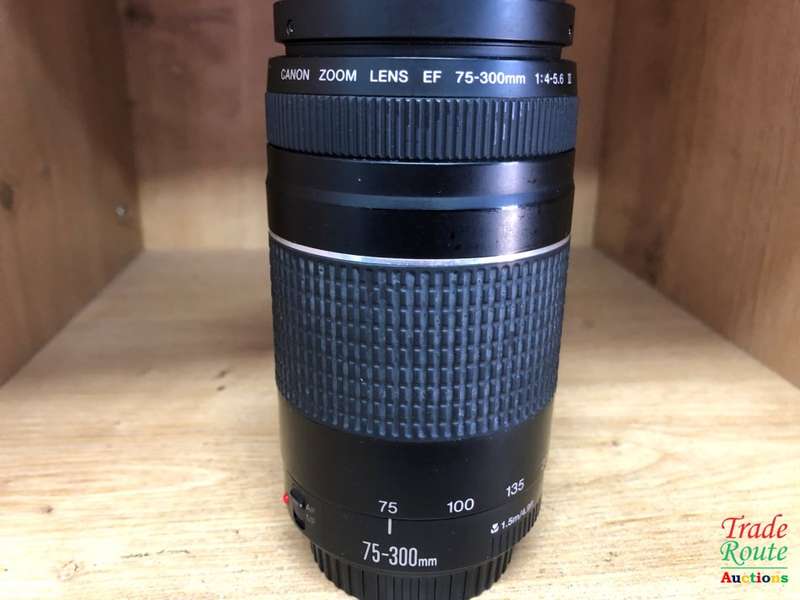 Canon EF 75-300mm 4-5.6 Mark iii Telephoto Zoom Lens for 600D, 650D, 700D, 750D 1200D 1300D Etc